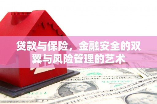 雷州贷款与保险，金融安全的双翼与风险管理的艺术