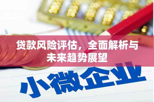 涿州贷款风险评估，全面解析与未来趋势展望