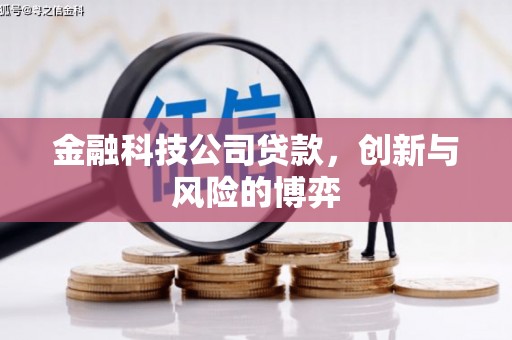 革吉金融科技公司贷款，创新与风险的博弈