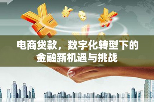 云浮电商贷款，数字化转型下的金融新机遇与挑战