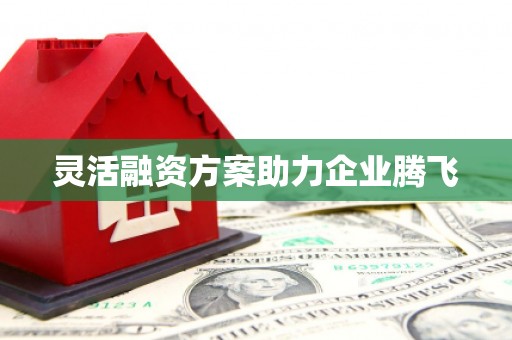 卧龙灵活融资方案助力企业腾飞