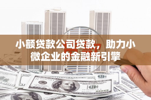 崇明小额贷款公司贷款，助力小微企业的金融新引擎