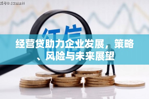 港闸经营贷助力企业发展，策略、风险与未来展望