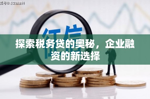 文昌探索税务贷的奥秘，企业融资的新选择
