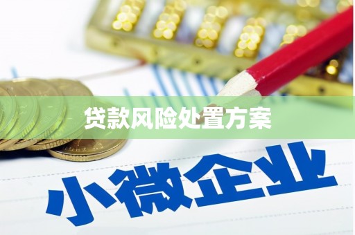 石冈贷款风险处置方案