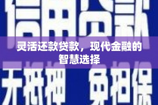 仁寿灵活还款贷款，现代金融的智慧选择