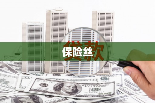 王益保险丝