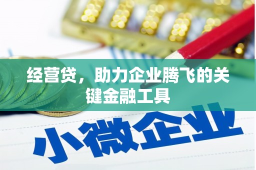 林西经营贷，助力企业腾飞的关键金融工具