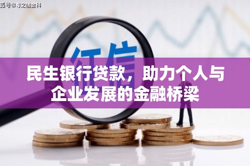 苍南民生银行贷款，助力个人与企业发展的金融桥梁