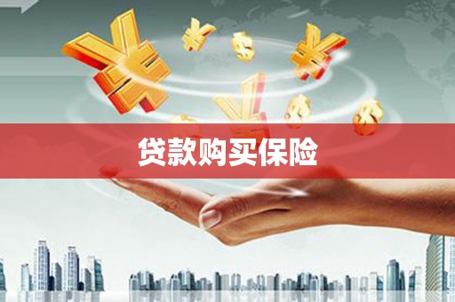 丰润贷款购买保险