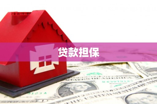 卓尼贷款担保
