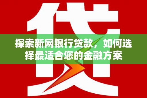 天宁探索新网银行贷款，如何选择最适合您的金融方案