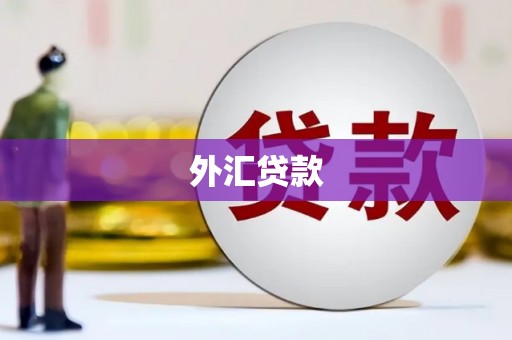 花莲外汇贷款