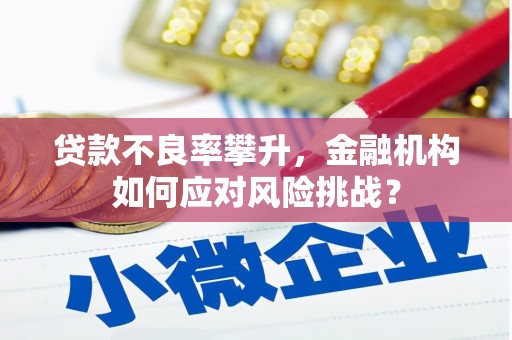 清河贷款不良率攀升，金融机构如何应对风险挑战？