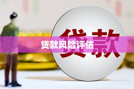 宁阳贷款风险评估