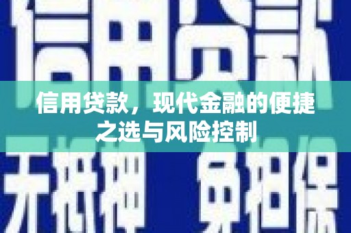 哈尔滨信用贷款，现代金融的便捷之选与风险控制