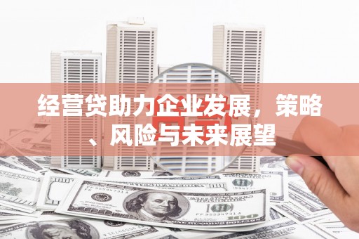 措勤经营贷助力企业发展，策略、风险与未来展望