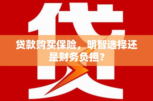 芦竹贷款购买保险，明智选择还是财务负担？