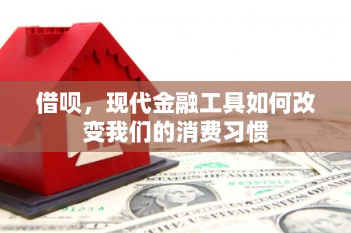 顺平借呗，现代金融工具如何改变我们的消费习惯