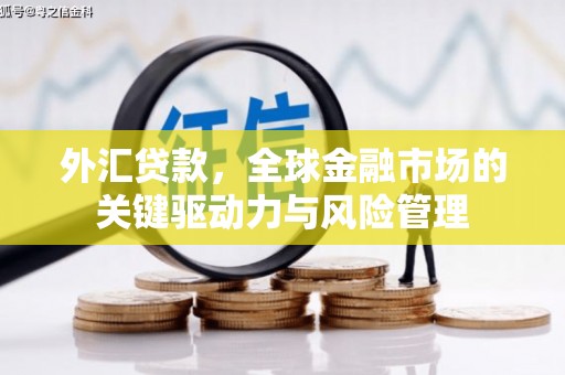 定安外汇贷款，全球金融市场的关键驱动力与风险管理