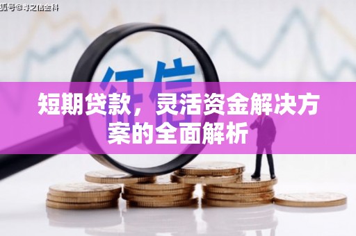 永川短期贷款，灵活资金解决方案的全面解析