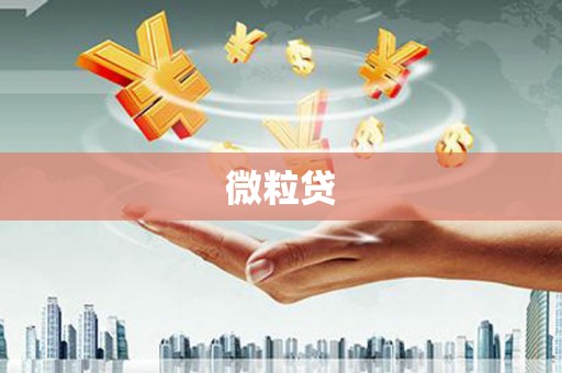 合浦微粒贷