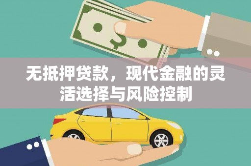 临海无抵押贷款，现代金融的灵活选择与风险控制