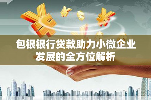 宁夏包银银行贷款助力小微企业发展的全方位解析