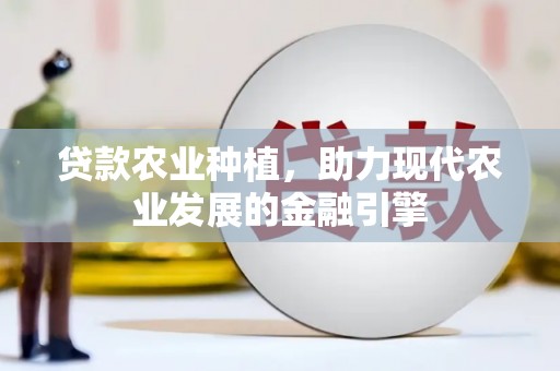 涡阳贷款农业种植，助力现代农业发展的金融引擎