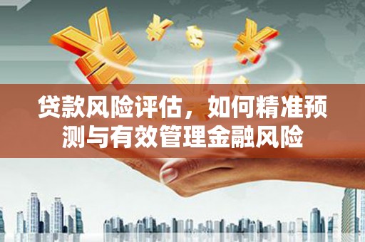 清新贷款风险评估，如何精准预测与有效管理金融风险