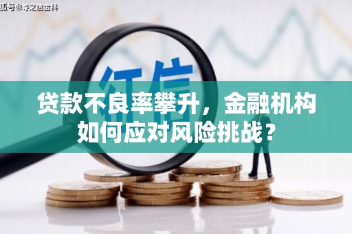 中正贷款不良率攀升，金融机构如何应对风险挑战？