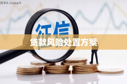 湛江贷款风险处置方案