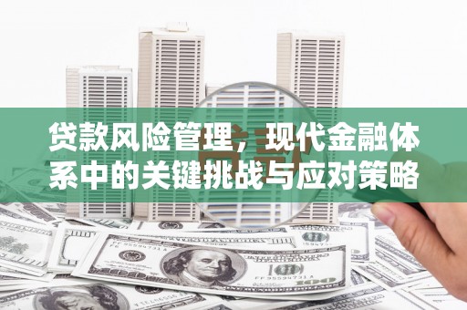 芦竹贷款风险管理，现代金融体系中的关键挑战与应对策略