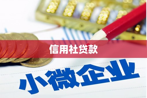 狮潭信用社贷款