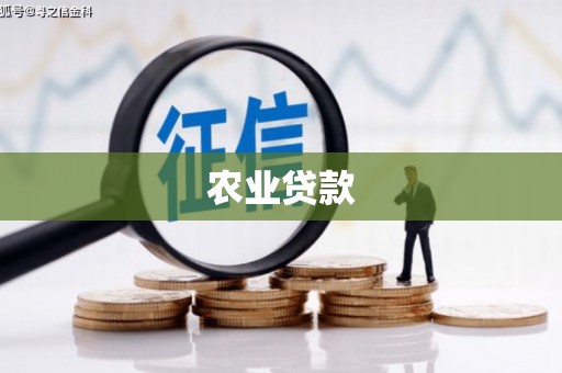 昌宁农业贷款