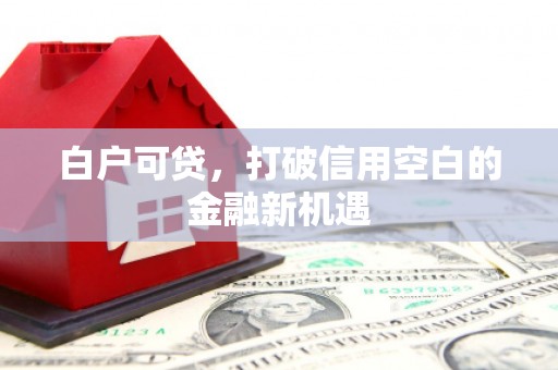常宁白户可贷，打破信用空白的金融新机遇