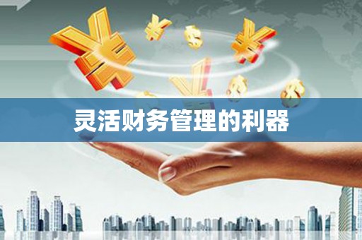 凤城灵活财务管理的利器