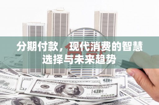 六枝分期付款，现代消费的智慧选择与未来趋势