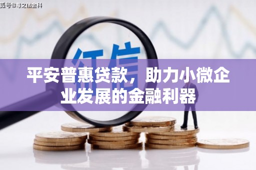 赫山平安普惠贷款，助力小微企业发展的金融利器