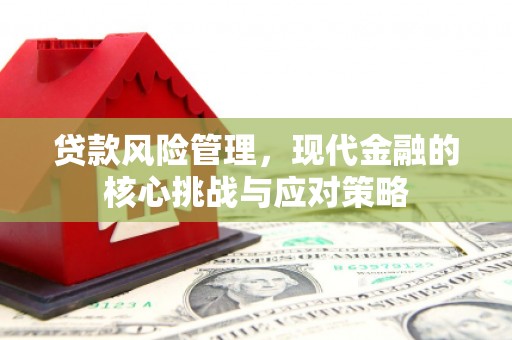 赣县贷款风险管理，现代金融的核心挑战与应对策略