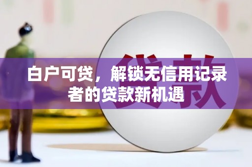 舞阳白户可贷，解锁无信用记录者的贷款新机遇