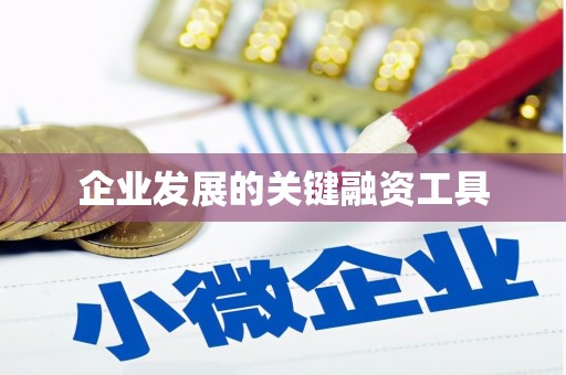 湖滨企业发展的关键融资工具