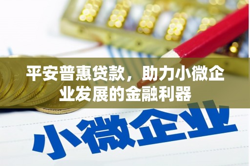 襄州平安普惠贷款，助力小微企业发展的金融利器