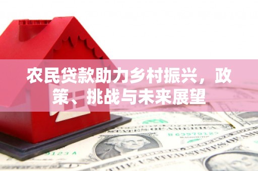 普兰店农民贷款助力乡村振兴，政策、挑战与未来展望