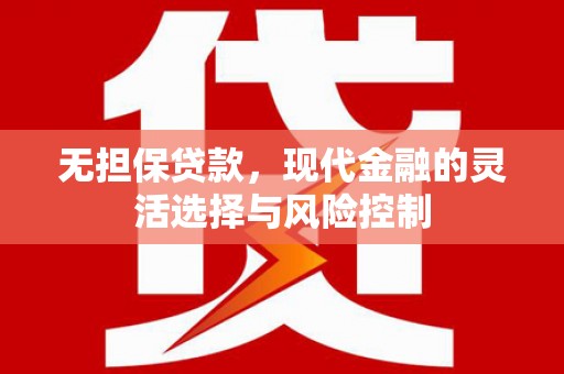 乐东无担保贷款，现代金融的灵活选择与风险控制