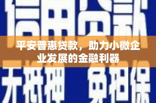 山阳平安普惠贷款，助力小微企业发展的金融利器