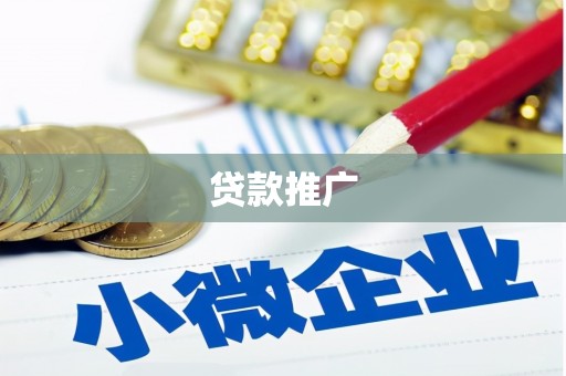四湖贷款推广
