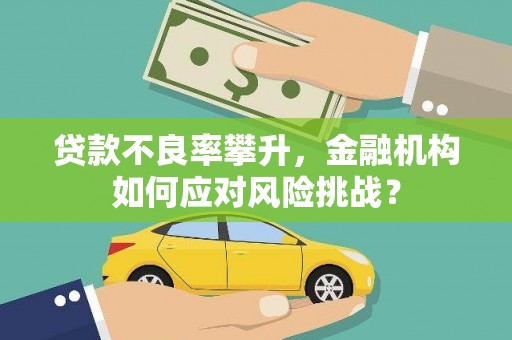 和静贷款不良率攀升，金融机构如何应对风险挑战？