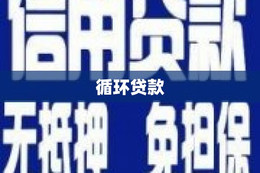 金沙循环贷款