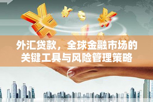 壮围外汇贷款，全球金融市场的关键工具与风险管理策略